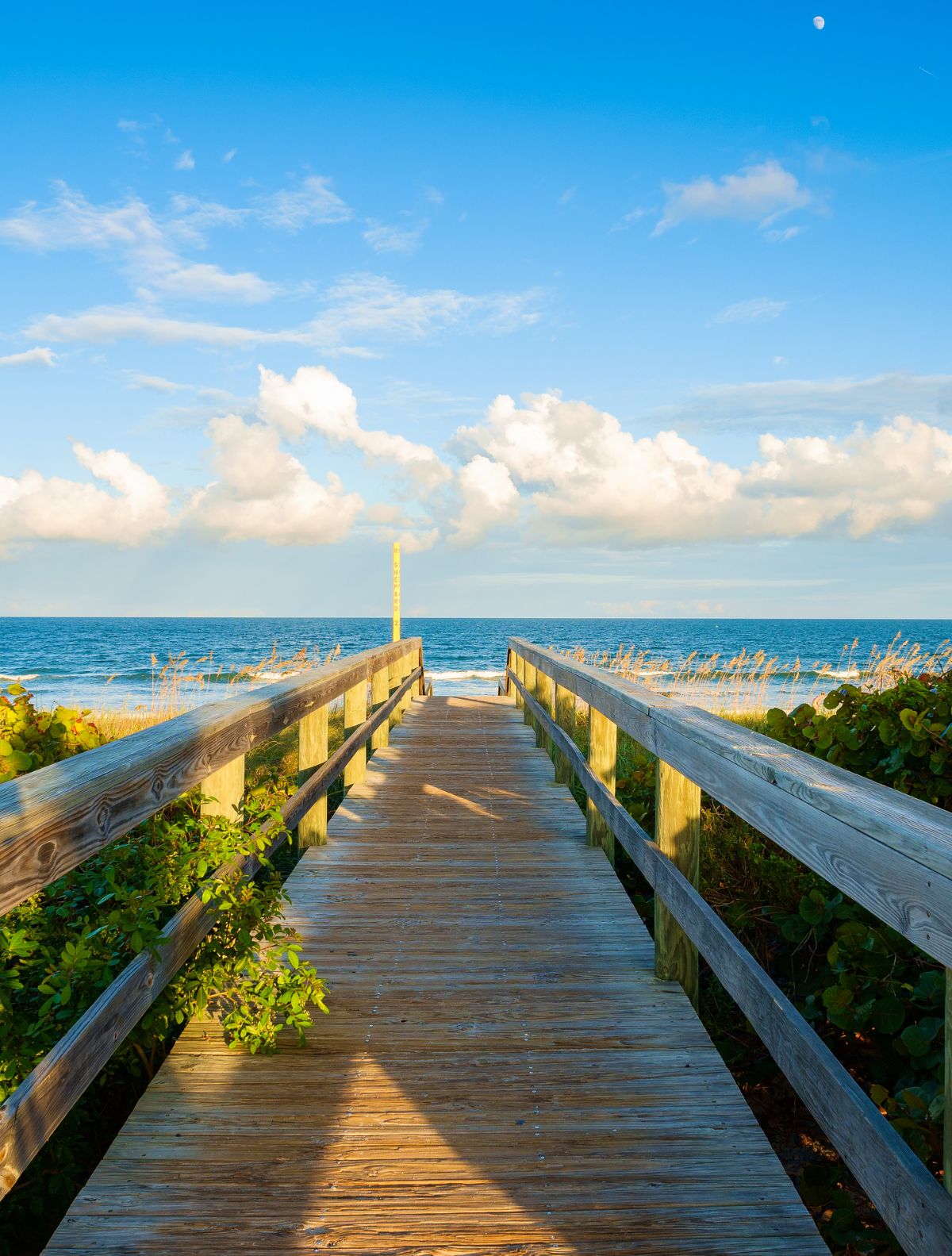 walking out to the beach